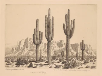 Desert Sentinels, Apache Trail, Arizona