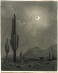New Moon and Evening Star, Phoenix