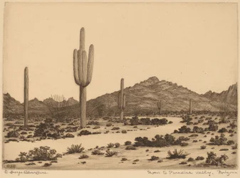 Road to Paradise Valley, Arizona