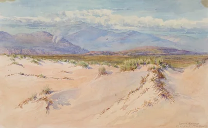 Sand Dunes, Harlech, North Wales, 1899