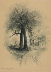 Sketch Made 45 Years Ago