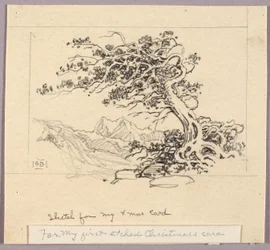 Sketch for Christmas Card (Windswept Pine [no. 1])