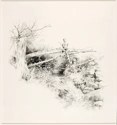 Untitled (Woodland Stream)