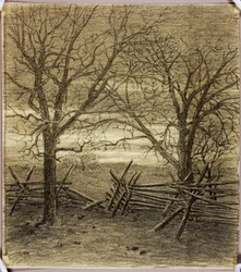 Untitled, Transfer Drawing for November
