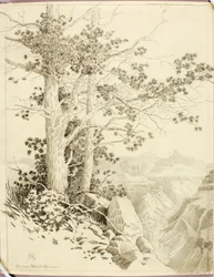 Untitled (transfer drawing for print)