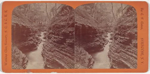 Watkins Glen Scenery, Shadow Gorge, c. 1860