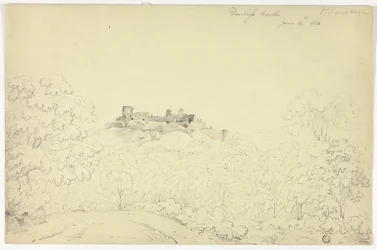 Denbigh Castle from Segroyt Dingle