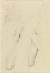 Drawing from the female form