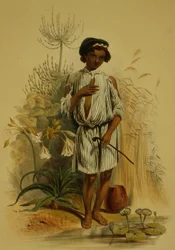 Charley, a Half Caste Kafir Boy (plate 24 from 