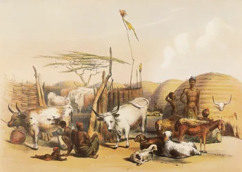 A Zulu kraal on the Umgaki River in Natal