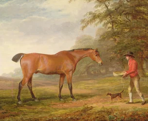 A Bay Horse Approached by a Stable-lad with Food and a Halter, 1789