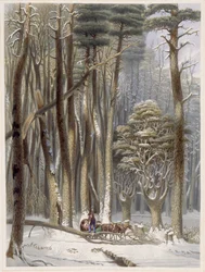 Winter, Impeded Travellers in a Pine Forest, from Harvey