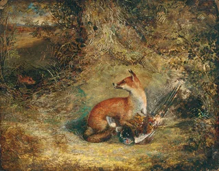 A fox with a pheasant