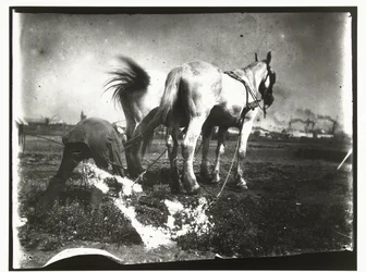 Plowing a Field with Horses