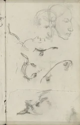 Heads of Horses and People