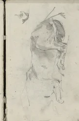 Lying Horse