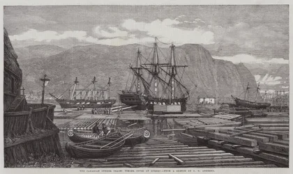 The Canadian Lumber Trade, Timber Coves at Quebec
