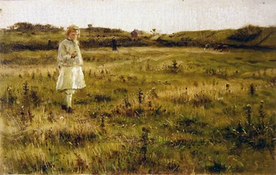 A Summer Meadow