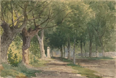 Avenue of Trees