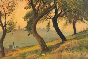 Friedberg in Hessen from the Johannisberg Nauheim