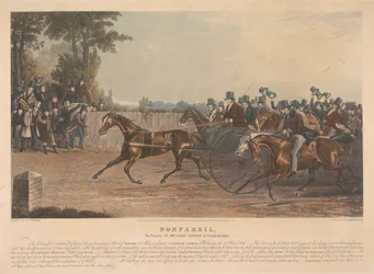 Nonpareil