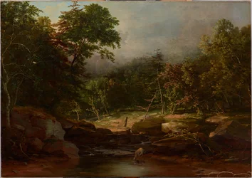 Stream in the Mountains