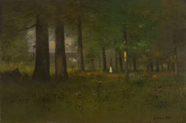The Edge of the Forest