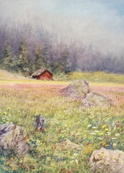 In the early-July fields at Champex