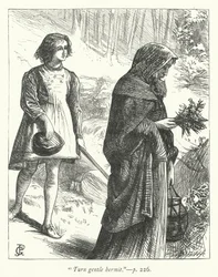 Illustration for The Hermit