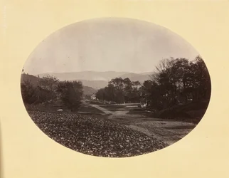 A Road in Williamstown, c. 1870
