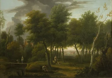 Woody Landscape