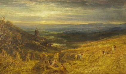 A Surrey Cornfield, c.1877