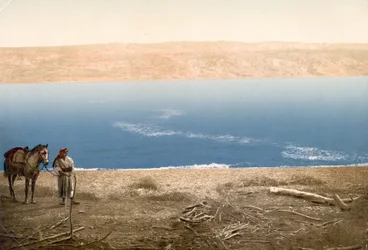 Man with horse standing near the Dead Sea
