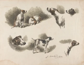 Animals - Seven Studies of a Hound on One Sheet. "Jno. Harris" on the Collar of the Hound at Lower Left