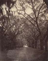 Bonaventure Cemetery, Four Miles from Savannah, 1866