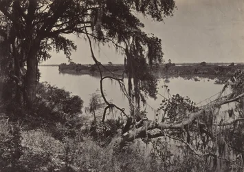 Savannah River, Near Savannah, Georgia