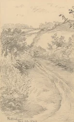 A Bushy Lane with a Field Beyond