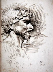 Male Head - Study for the Ancients
