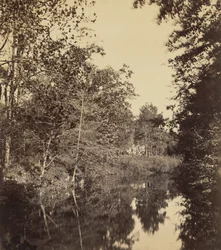 The Dell, 1863