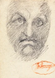 Male Head 1
