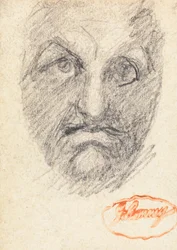 Male Head 1