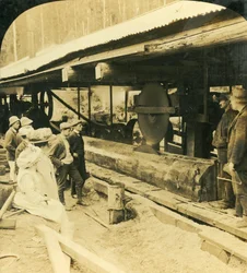 The Timber Industry, Warburton, Victoria, Australia, 1909