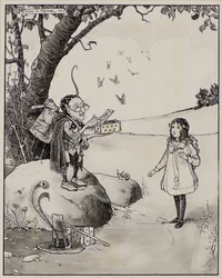 Magic Box of Butterflies