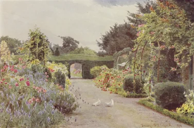 China Roses and Lavender, Palmerstown