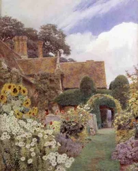 Cleve Prior: Sunflowers