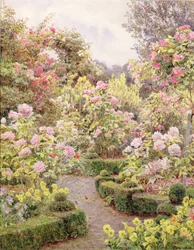 Raundscliffe - Everywhere are Roses