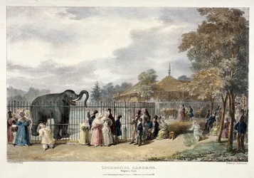 Zoological Gardens, Regent