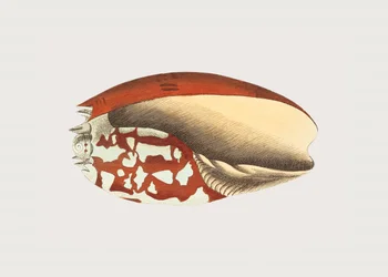 Ethiopian Crown