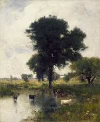 Cattle in Pool (A Summer Landscape)