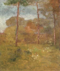 Orange Road, Tarpon Springs, c.1893